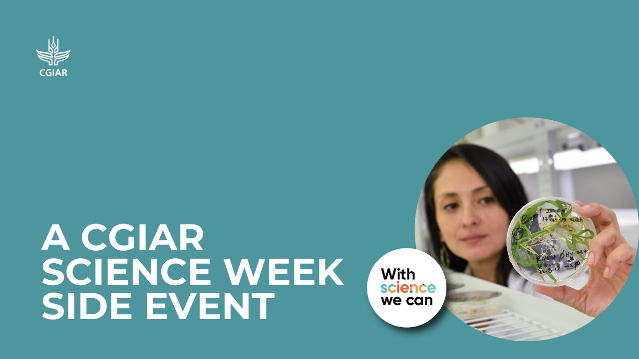 Assessing the Evaluability of CGIAR's 2025-2030 Portfolio