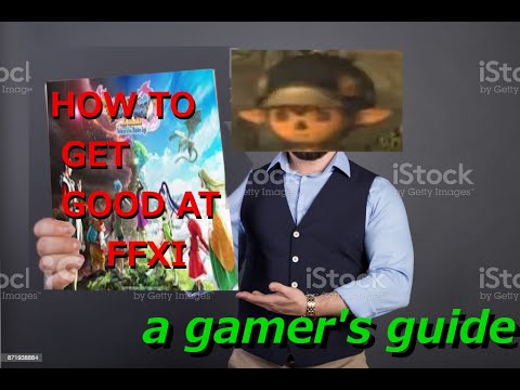 A new FFXI player's beginner guide to beginning Final Fantasy XI