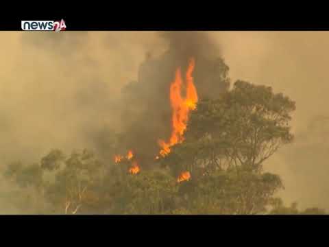 आगलागीका कारण अष्ट्रेलियामा हजारौं जीवजन्तु मरेको न्यूज र तस्वीर सामाजिक सञ्जालमा भाइरल - NEWS24 TV