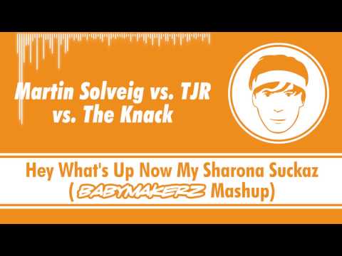 Martin Solveig vs. TJR vs. The Knack - Hey What's Up Now My Sharona Suckaz (Babymakerz Mashup)