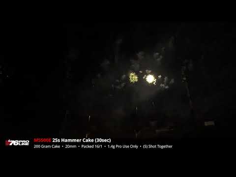 MS500E 25s Hammer Cake 30sec 2024