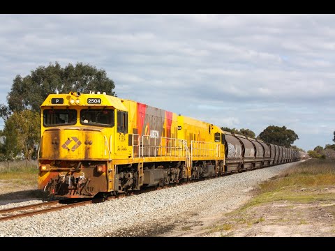 CBH Grain Trains- P class Power