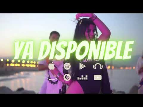 Sasi Vingut - Mi Morena (Ya Disponible)