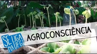 Miniatura do vídeo