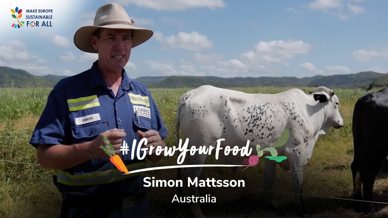 Meet Simon Mattsson from Australia 🇦🇺
