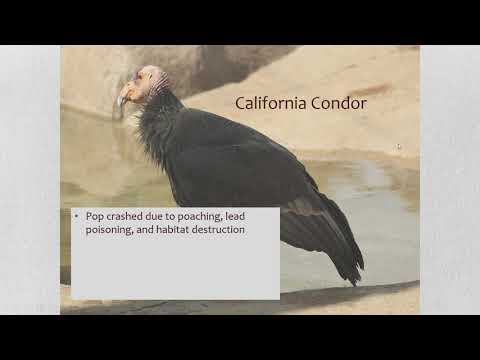 APES Unit 9.9 Endangered Species