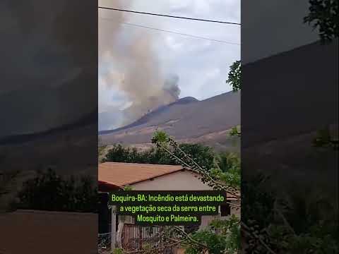 Incêndio atinge a serra do Mosquito. Em Boquira, Bahia.🎥 Boquira em Ação
