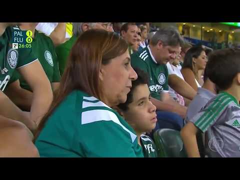 Palmeiras 3 x 0 Fluminense - Melhores Momentos Brasileirão 14/11/2018