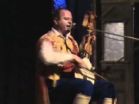 Guslar Vojin Tepavčević-Kruševac 2011