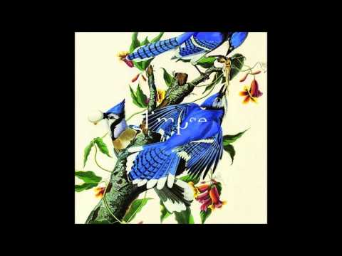 Glimpse & Jay Shepheard - Lazer Bather