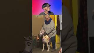 Try Not To Laugh Challenge 830 🤣 #funny #shorts #viralvideo