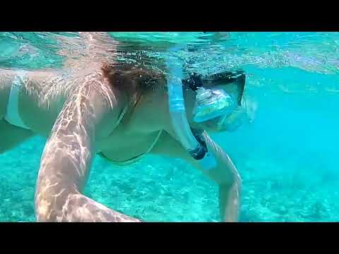 First day #snorkeling at Playa Porto Mari - Curacao