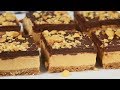 Chocolate Peanut Butter Bars Recipe Demonstration Joyofbaking Com