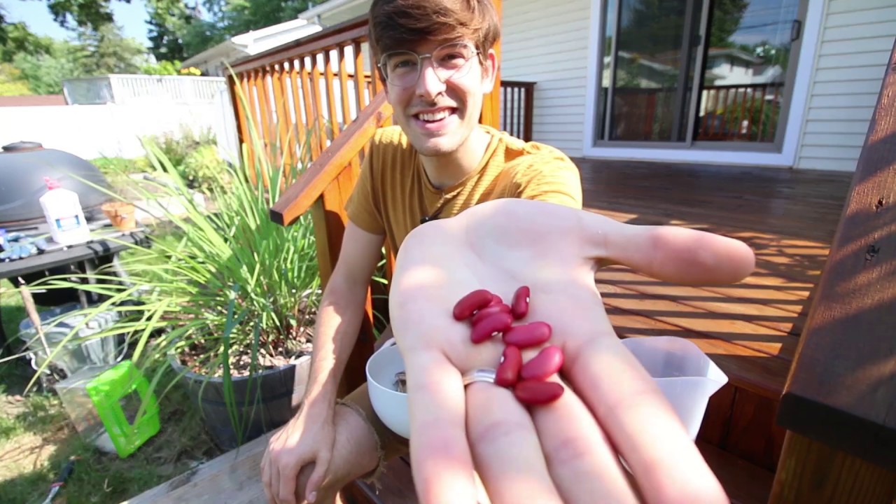 Watch video The One Plant Everyone Should be Growing for Food Security Now The One Plant Everyone Should be Growing for Food Security