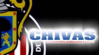 Contestacin Chivas  A Molotov Cartel De Santa  broz656