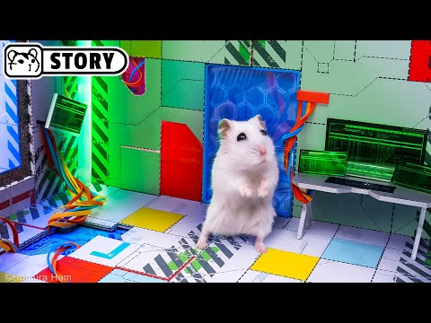 🐹 Hamster Escapes the Future Prison Maze and robs the Galactic Bank ep.3 🐹 Homura Ham