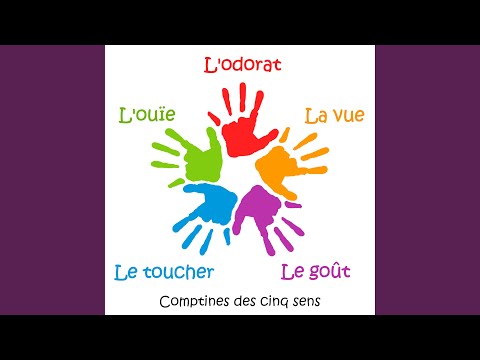 La comptine de la vue