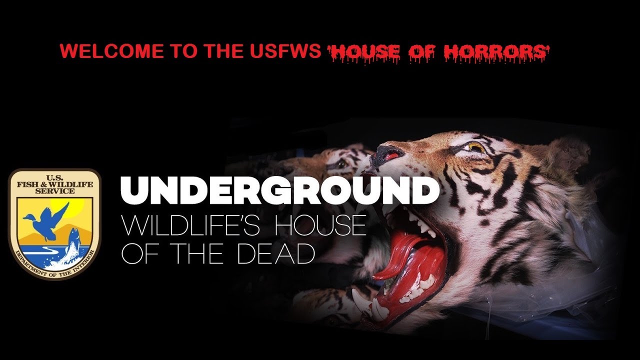 Inside The USFWS 'House Of Horrors'