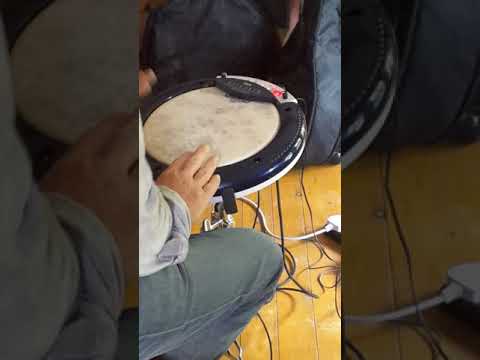 Amazing percussive range, Korg Wavedrum