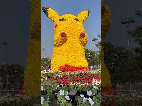 Flower show Ahmedabad2025🌸 /riverfront flower park #flowershow #flowershow2025 #ahmedabad #flowers