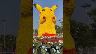 Flower show Ahmedabad2025🌸 /riverfront flower park #flowershow #flowershow2025 #ahmedabad #flowers