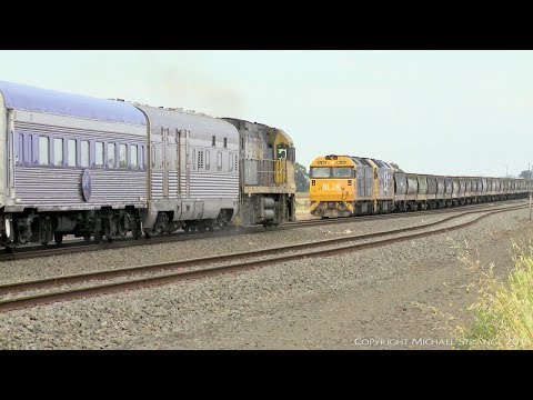 MA8 Overland Passenger Train Crosses Grain Train - PoathTV Australian Railways
