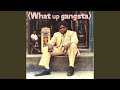 What Up Gangsta BEST VERSION Rare 1960 S AI Cover Feat Obscure Vintage Records