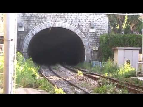 DA SIRACUSA A MILANO CON UNA TARTARUGA...