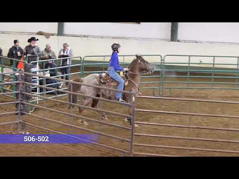 Barlow 1R Team Sorting Ohest 3 2023