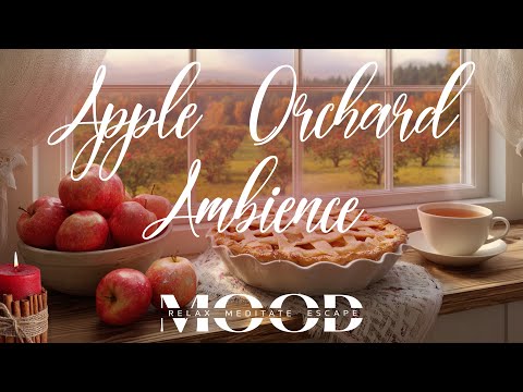 Apple Orchard Jazz 🍎 Cozy Cinnamon Spice and Apple Pie Autumn Ambience #jazzmusic #autumnambience 🍂