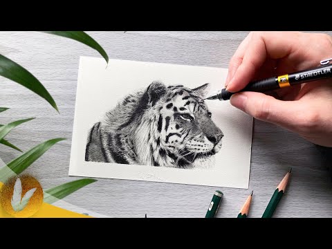 How To Draw A Tiger With Pencil | Tiger Drawing Tutorial For Beginners