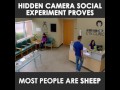 Social Experiment On Mob Mentality