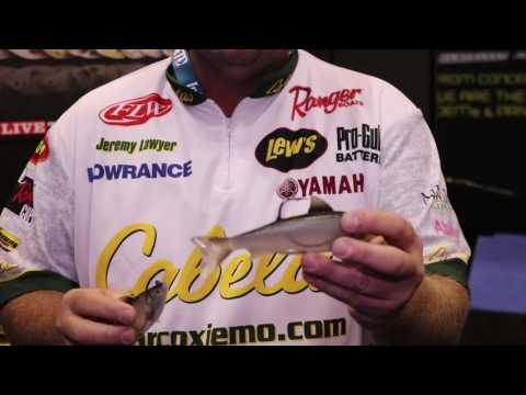 Livetarget Swimbait Series Hitch at ICAST 2017