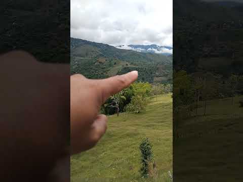saludos desde la vereda el Cedral del municipio de Génova Quindío. #vistashermosas
