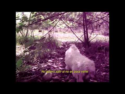 'no te olvides de mí' official video - erin memento