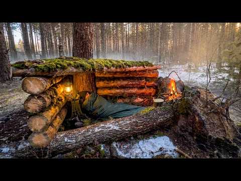 Cozy Log Shelter on a Fallen Tree. Solo Bushcraft Survival