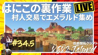 【マイクラ孤島開拓】はにこの裏作業LIVE～村人交易でエメラルド集め～Part34.5【はろ島LIVE】