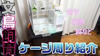 文鳥のケージ周り紹介【シルバー文鳥】お気に入りの収納力の高い台