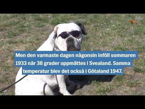 Regnkaos och värmebölja – här är väderrekorden i Sverige