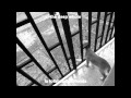 wye oak - dog's eyes(lyrics/letras)