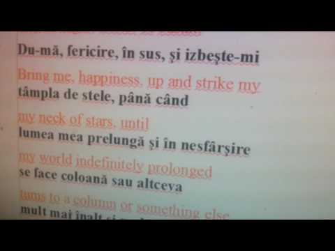 Nichita Stănescu - Learn Romanian with poems