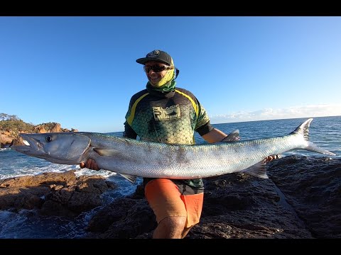 Huge Landbased Barracuda
