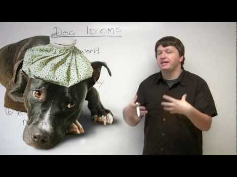 Idiom Battle Learn 10 English Idioms AND their Opposites