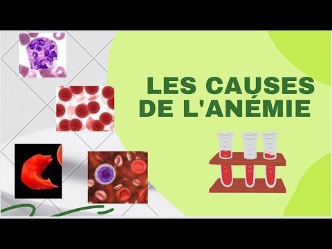 Quelles sont les causes de l'anémie?