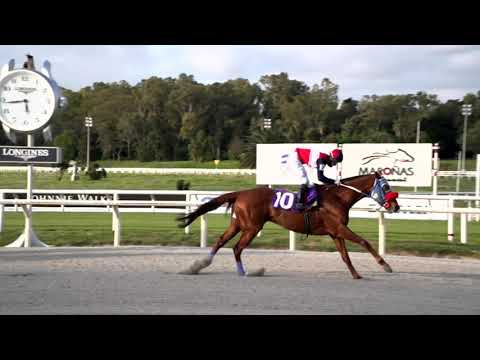 201003 c10 PAIN KILLER