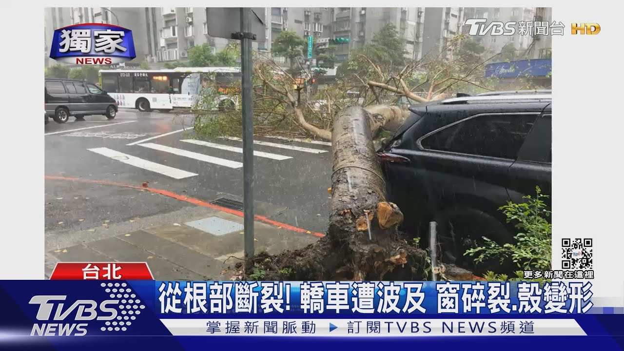6樓高路樹倒!駕駛目擊 路人險遭重壓
