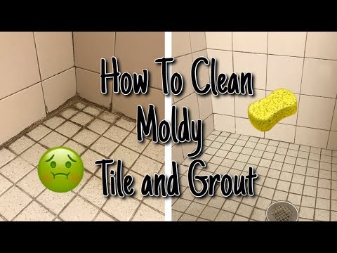 HOW TO CLEAN MOLD FROM SHOWER TILE AND GROUT // Super...