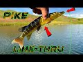 Video Thumbnail for CANNOT Destroy This PIKE Swimbait!