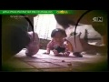 CN Asia Oggy And The Cockroaches Cockroaches View Promo