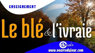 Le blé et l’ivraie